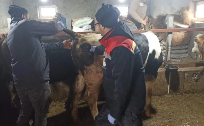 Beyşehir’de şap ile mücadelede çalışmaları