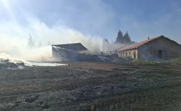 Beyşehir ve Hüyük'te çıkan anız yangınları paniğe neden oldu