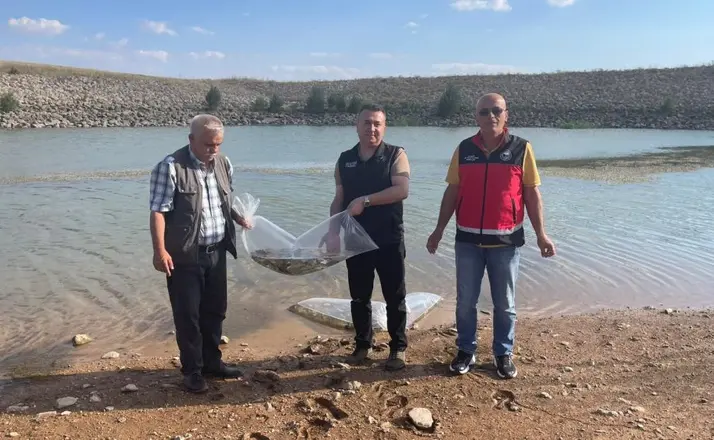 Beyşehir ve Hüyük’ün göletlerine balık bırakıldı