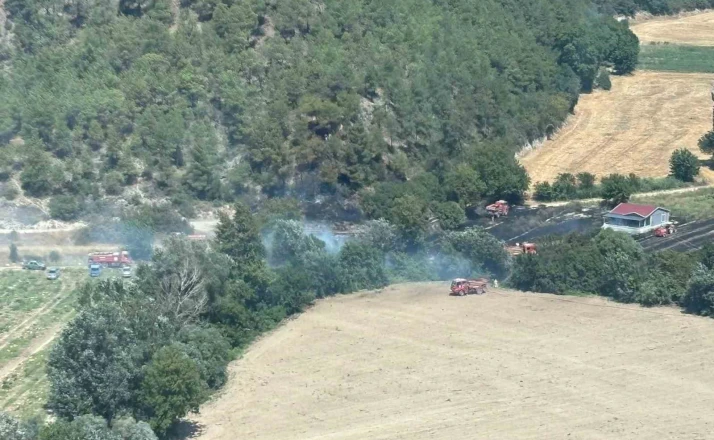 Bilecik’te ormanlık alanda yangın çıktı 