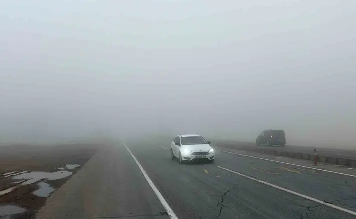 Bitlis’te yoğun sis etkili oldu
