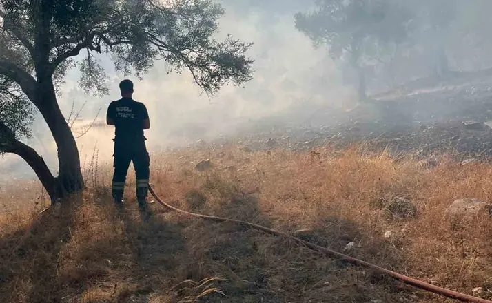 Bodrum-Milas karayolu üzerinde ot yangını
