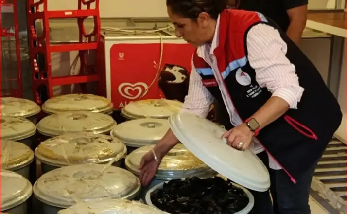 Bolu’da 650 kilo kaçak midye ele geçirildi
