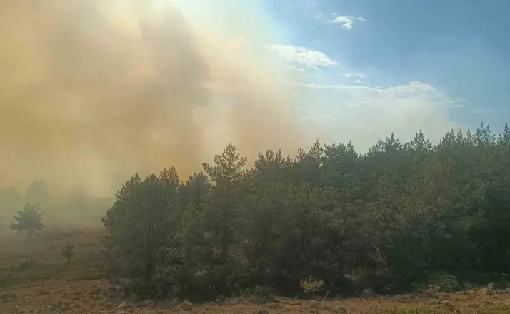 Bolu’da anız yangını ormana sıçradı: 2 helikopter sevk edildi
