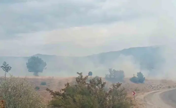 Bolu’da arazi yangını ormanlık alana ulaşmadan söndürüldü
