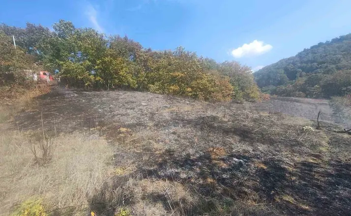 Bolu’da ot yangını büyümeden söndürüldü
