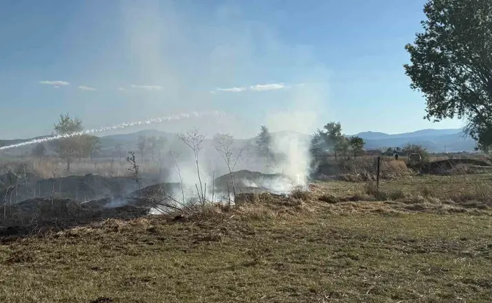Bolu’da ot yangını büyümeden söndürüldü