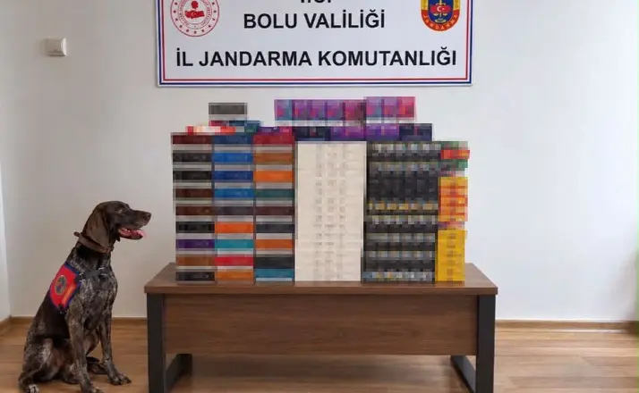 Bolu’da yolcu otobüslerinde kaçak tütün operasyonu: Piyasa değeri 760 bin TL
