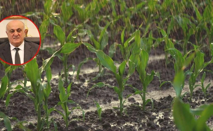 Bu yılki yağışlar Konya Ovası’na yetmedi! Su sorunu devam ediyor