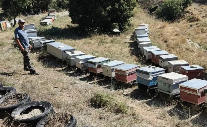 Burdur’da arılı kovanlar denetleniyor 