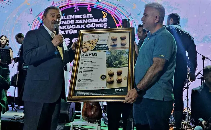 Darende’nin tescilli cevizi dünyaca ünlü rakibine fark attı
