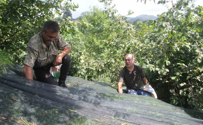 Devlet desteği ile file sistemine geçtiler, fındıkta işçilik maliyetini yüzde 80 azalttılar 