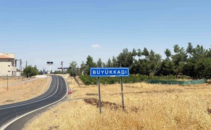 Diyarbakır’da kedinin ısırdığı çocuk entübe edildi, testlerde kuduz çıktı 