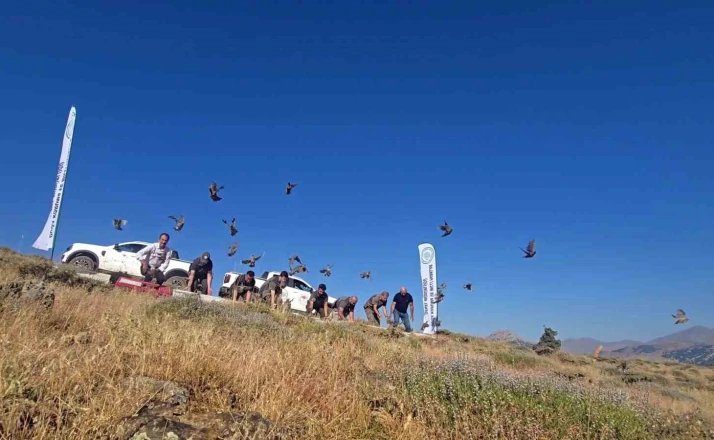 Diyarbakır’da keneye karşı doğal mücadele 