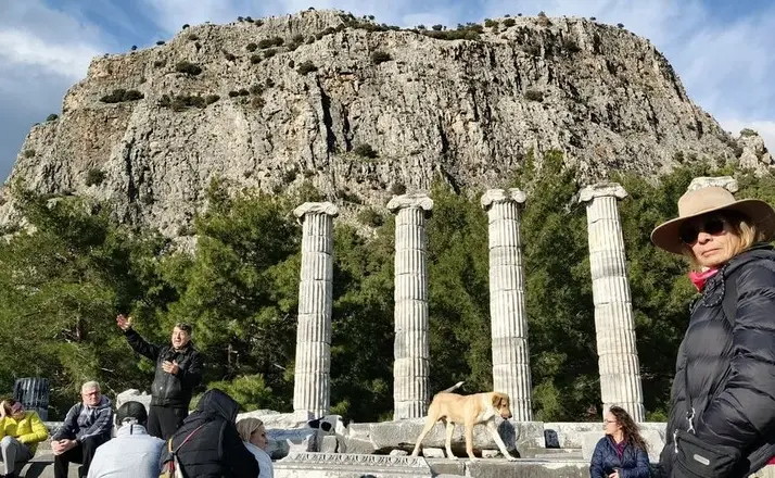 Doğaseverler, Anadolu’nun Pompeisi Priene Antik Kenti’ne dikkat çekti
