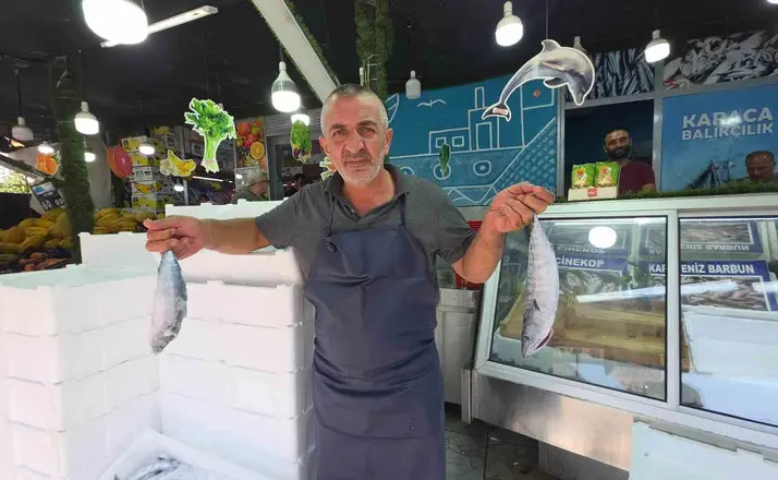 Düzce’de palamut tezgaha indi, vatandaş sıraya girdi
