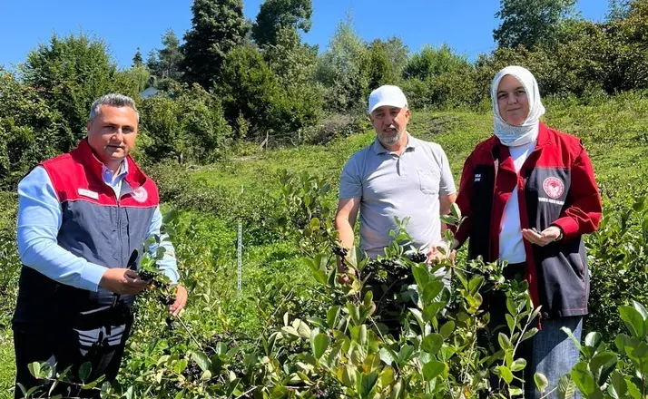Düzce’de üretiminde yeni hedef katma değerli ürünler
