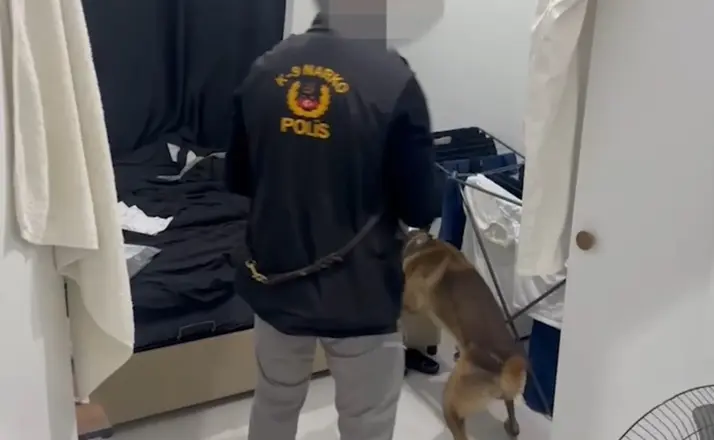 Edirne’de uyuşturucu operasyonu: Skunk, kokain, para ve hassas teraziler ele geçirildi

