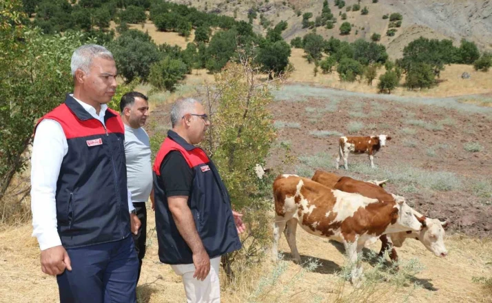 Elazığ’ Kırsalda Bereket, Hayvancılığa Destek Projesi sürüyor 