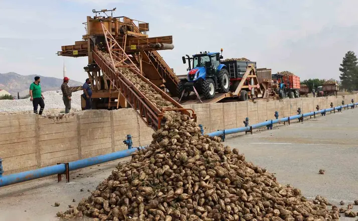 Elazığ Şeker Fabrikası’nda 71. Kampanya Dönemi açıldı: 240 bin ton pancar işlenecek
