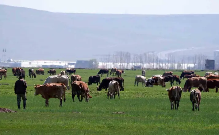 Erzurum’da kırsal kalkınmaya dev destek: 329 Projeye 171 Milyon TL hibe
