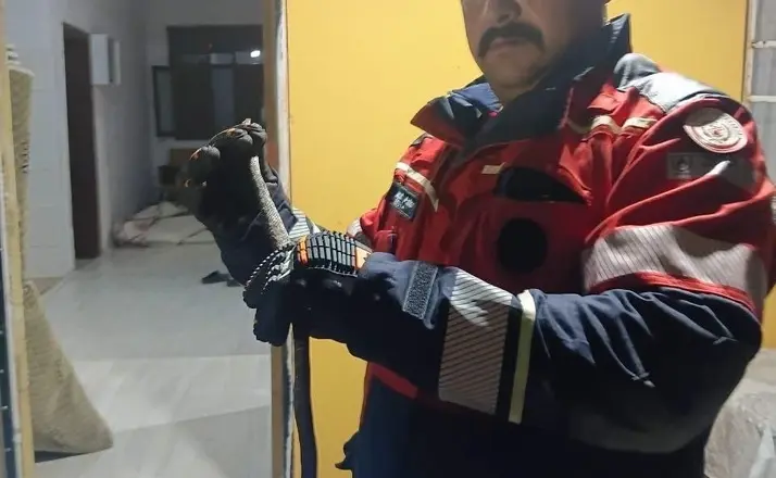 Hassa’da evde görülen yılan itfaiye ekiplerince yakalandı
