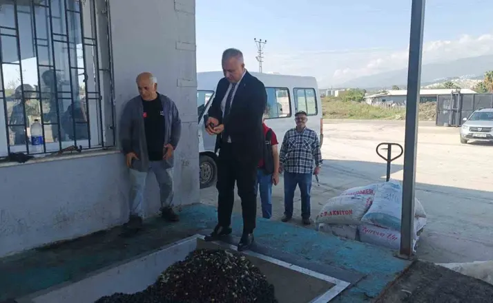 Hatay’da kaliteli zeytinyağı üretimi için hasat uyarısı
