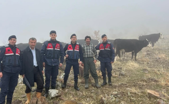 Hayvanları kaybolan kişinin imdadına jandarma yetişti