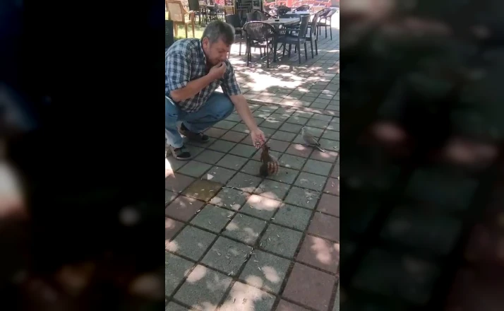 İnegöl’de sincap ve kumruyu elleriyle besledi 