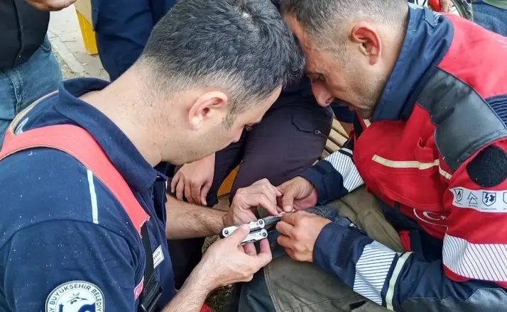 İskenderun’da ağaca takılan güvercin itfaiye ekiplerince kurtarıldı
