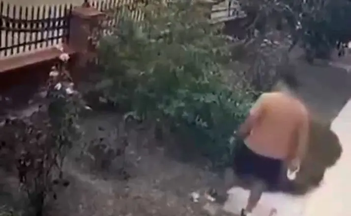 İzmir’de yavrulu kediye tekme atan saldırgan yakalandı
