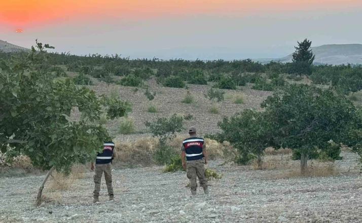 Jandarmadan fıstık nöbeti 