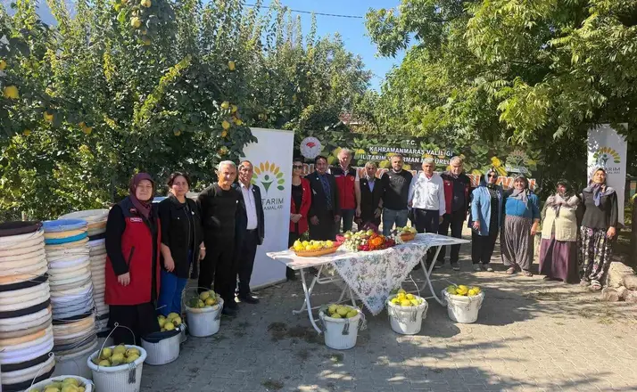 Kahramanmaraş’ta ayva üreticilerine hasat desteği
