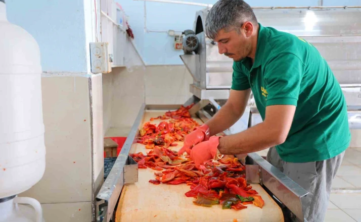 Kahramanmaraş’ta biber salçası mesaisi başladı 