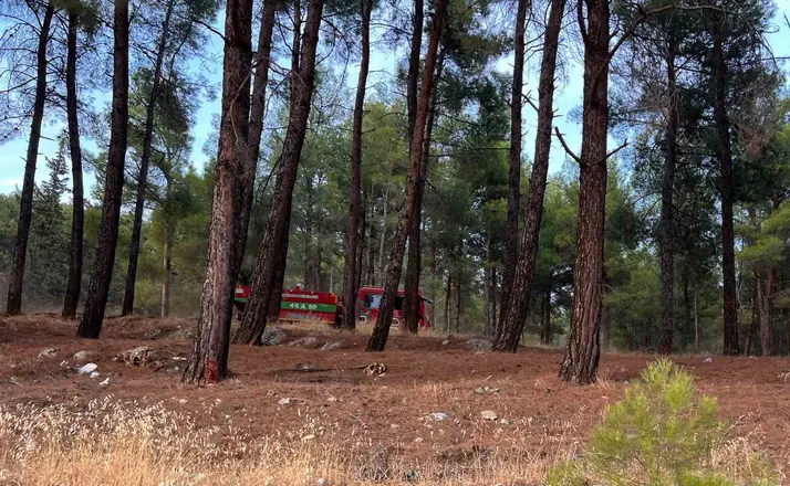 Kahramanmaraş’ta orman yangını
