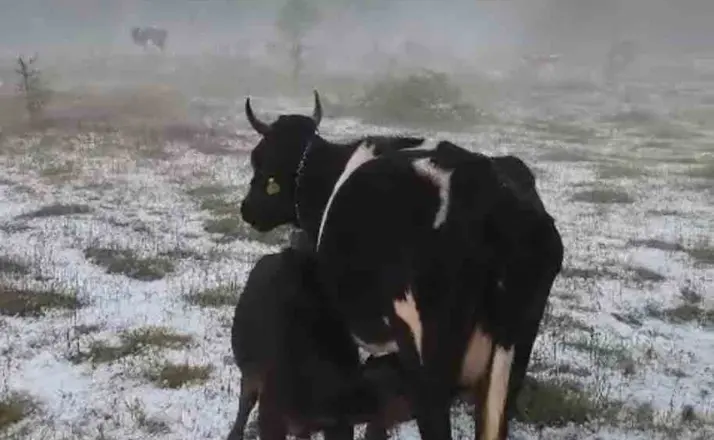 Karabük’te dolu yağışı etkili oldu
