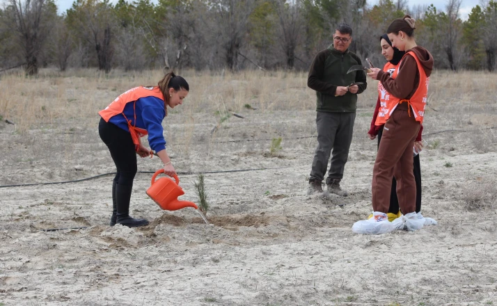 Karapınar'da erozyon sahasına fidan dikildi
