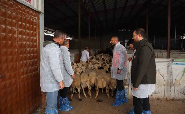 Karapınar’da kesimhanelere denetim