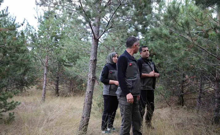 Kars’a yeni yeşil yaşam alanı geliyor: Kent ormanı için düğmeye basıldı
