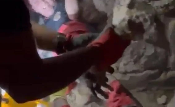 Konya’da duvar arasında kalan kediye itfaiyeden 9 saatlik kurtarma operasyonu