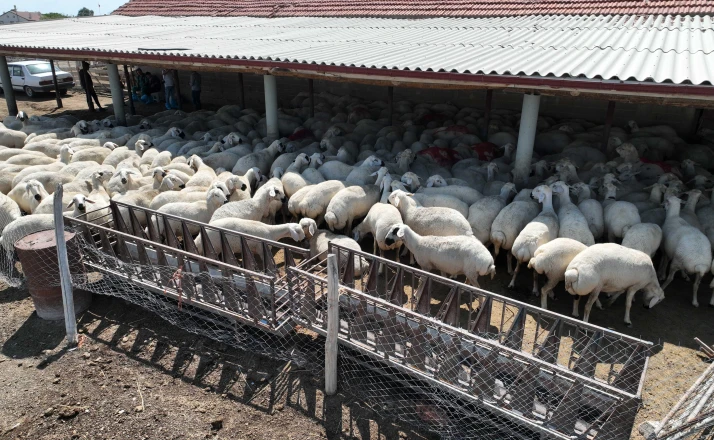 Konya’da hayvan yetiştiriciliği eğitimleri üreticiye güç katıyor