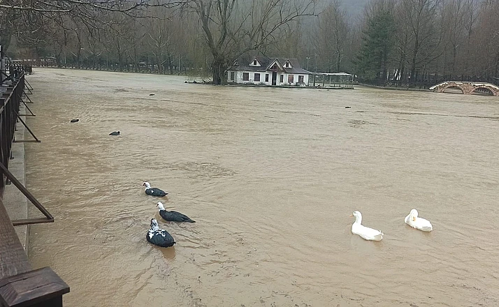 Konya'da yağış sonrası sel dereleri taşırdı