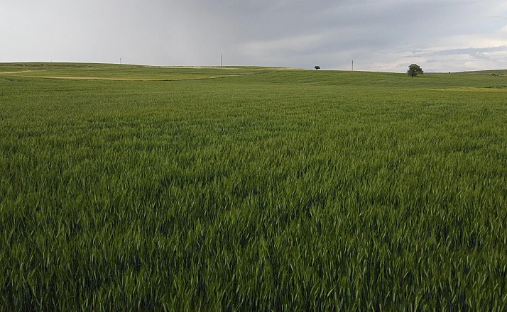 Konya’da yüksek kesimler yağışa doydu