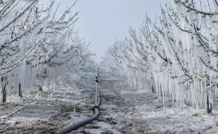 Konya için korkulan tahmin! Yağış ve don kapıda