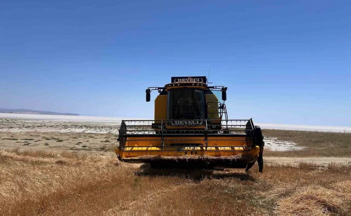 Kulu’da arpa hasadı başladı