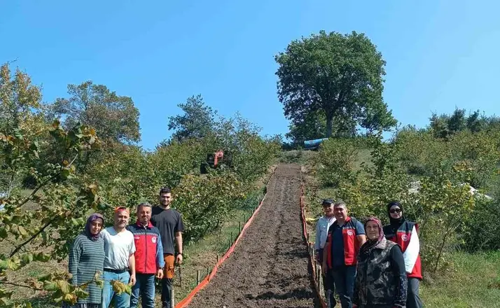 Kumluca’da Salep dikimi gerçekleştirildi
