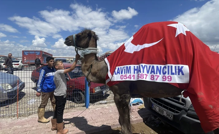 Kurban pazarının gözdesi deve 330 bin TL’ye satıldı