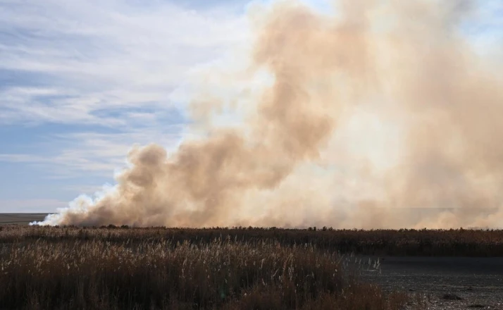 Kuş cennetinde sazlık yangını