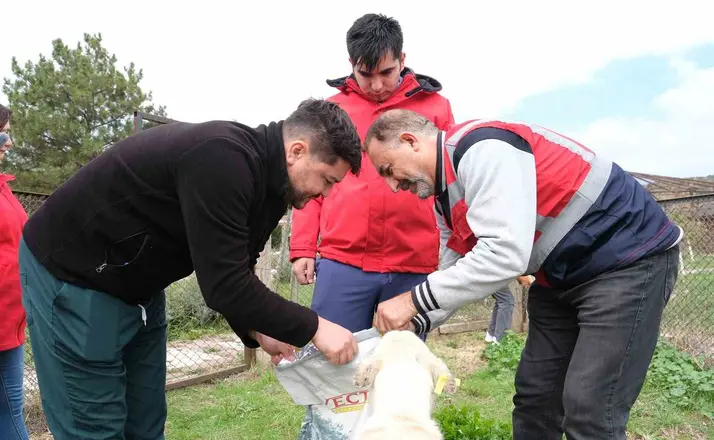 Kütahya’da sahipsiz hayvanlara mama desteği
