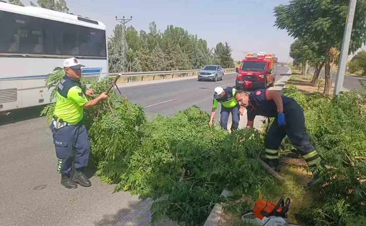 Kuvvetli rüzgar ağacı devirdi
